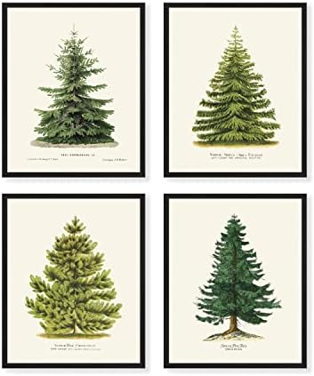 Златни дни 4 Щампи с борови дървета, 8 x 10, Зимен Декор, Реколта Отпечатъци с коледни елхи в ботаническата