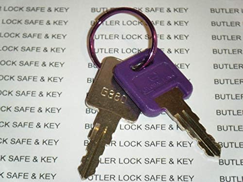 Global Link G380 Ключ от ремаркето за дом на колела RVS, Изсечен по номер на ключ / замък G380 ЕДИН Лилаво Ключ 1 Метален 1 Лилава Халка за ключове GLOBAL LINK LOCK