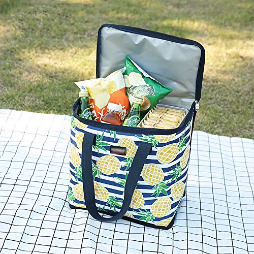 JQZLXYCZWL Водоустойчива чанта за пикник и обяд с Голям Капацитет, чанти за възрастни и деца, Ms. Men, Стръмни