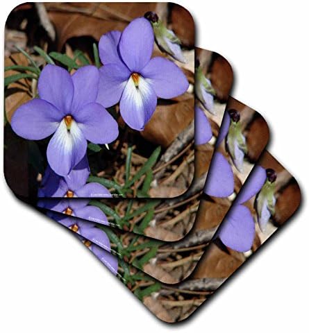 3роуз Ли Хилер Национален парк Хот Спрингс Диви цветя - Диви цветя, Птици - Дует Теменужки на крака - комплект от 8 на Каботажните за керамични плочки (cst_7590_4)
