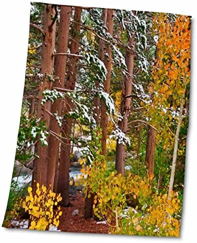 3 Нанесете нов сняг в аспен и бор, Национален гора Иньо, Калифорния, САЩ - Кърпи (twl-258965-3)