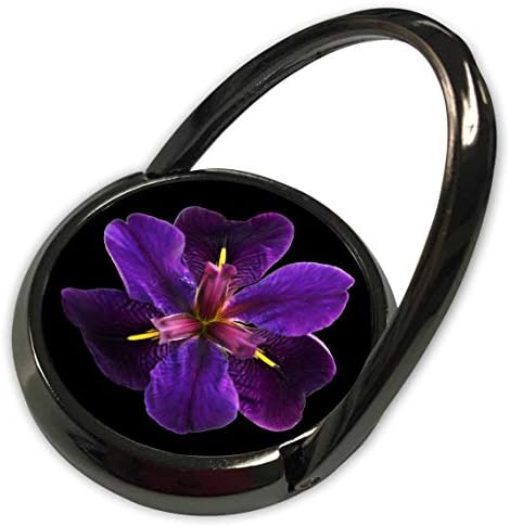 3D-Печат City - Flowers - Макросъемка лилаво цвете ирис на черен фон. - Телефонно обаждане (phr_320155_1)