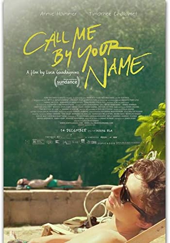 Художествен плакат на филма Зови ме името си - Без рамка (11x17)
