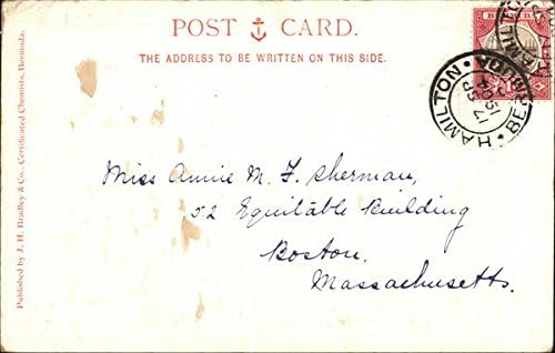 Виктория Парк Хамилтън, Бермуда Оригиналната Антични Картичка 1904 г.